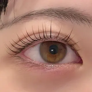 マツエク・マツパ ai一重専門🎀束感 まつげ🫧表参道のマツエク・マツパデザイン