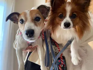 ミラクルバスト 津田沼店　松本まおのエステ・リラクイメージ