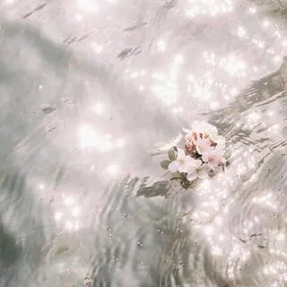 セミロング カラー パーマ ヘアアレンジ 髪質改善🫧ベージュ 椙山 響のヘアスタイル