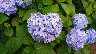 美と癒しのお店OTOHA 2nd所属・OTOHA よしだのエステ・リラクイメージ