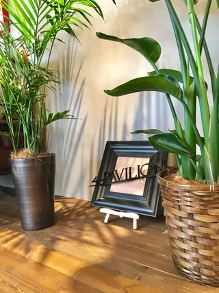 lasPAVILION-ラスパビリオン-所属・las PAVILIONのヘアスタイル