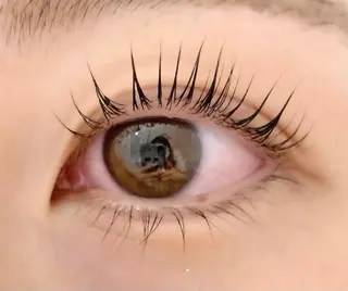 ãããšã¯ã»ããã MI YAððžðã®ãããšã¯ã»ããããã¶ã€ã³