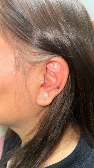 B.napus/mimi2bo所属・B.napus Nanohaのその他イメージ