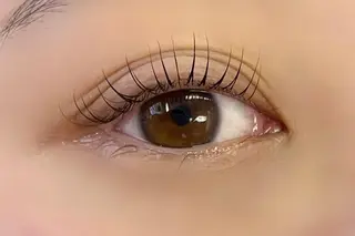 マツエク・マツパ 大阪福島韓国束感まつ げ Sayaka🤍のマツエク・マツパデザイン