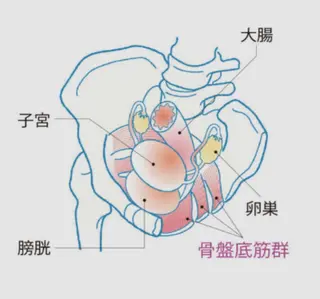 【肩こり】【腰痛】癒しのボディメンテサロンBMS金沢所属・野村 千代美のエステ・リラクイメージ