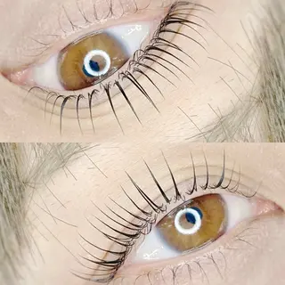 マツエク・マツパ Lito by Lupie所属・Lito by Lupieのマツエク・マツパデザイン