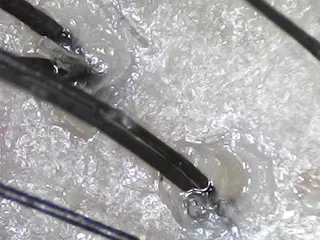 salowin 郡山店所属・中畑 莉菜のヘアスタイル