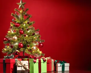 マツエク・マツパ 個室サロンAPiLA 橋本あゆみのマツエク・マツパデザイン