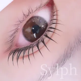 マツエク・マツパ Sylph　井関 唯のマツエク・マツパデザイン