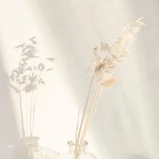 マツエク・マツパ ance 仙台のマツエク・マツパデザイン