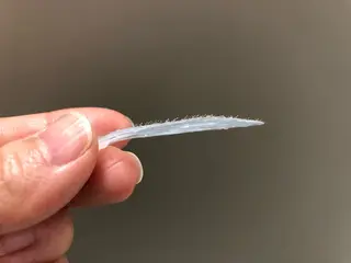 cémo~セモ~所属・オーダーメイド眉毛& フェイシャルワックスの眉毛・アイブロウイメージ