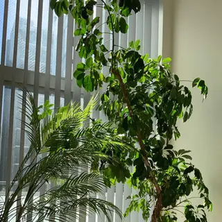 メンズ Relaxation 【YuRu】のエステ・リラクイメージ