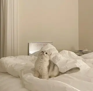 oyanagi 〰️の眉毛・アイブロウイメージ