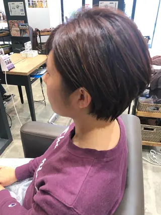 ショート 井上 舞のヘアスタイル