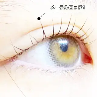 マツエク・マツパ LC尾張旭店所属・LC尾張旭店🫧 いしいのマツエク・マツパデザイン