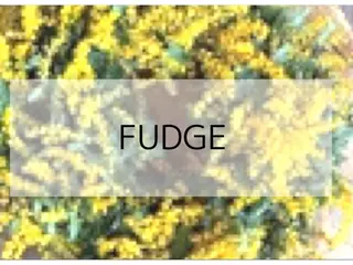 ヘアサロン FUDGEのヘアスタイル