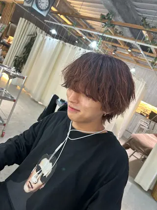 ショート カラー 高橋 航大のヘアスタイル