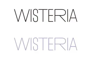 トップスタイリスト澤 奈緒美のヘアスタイル