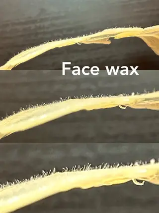 PURIO所属・PURIO eyelashのマツエク・マツパデザイン