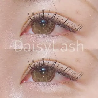 マツエク・マツパ DaisyLash 京橋店のマツエク・マツパデザイン