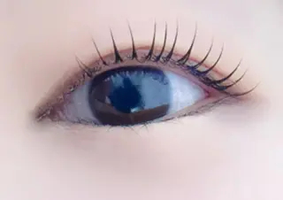 マツエク・マツパ ラピス SANAEのマツエク・マツパデザイン