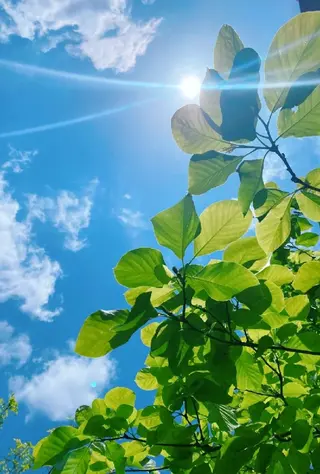 aliaハイフ&水光ジェットサロン所属・aliaハーブ水光店 エステティシャン募集のエステ・リラクイメージ