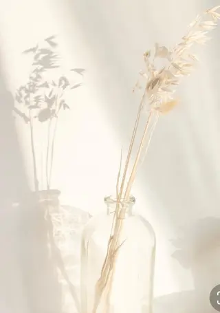 THE DAY所属・AKI HASHIMOTOのヘアスタイル