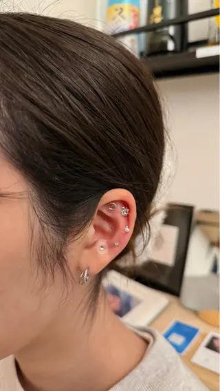 B.napus/mimi2bo所属・B.napus Nanohaのその他イメージ