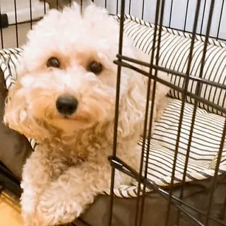 ネイル MIU  Nail所属・MIU  nailのネイルデザイン