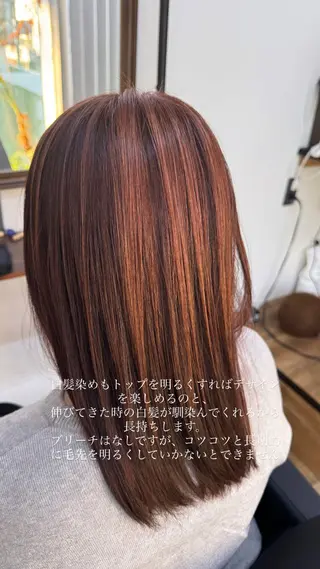 カラー 椎葉 祐也のヘアスタイル