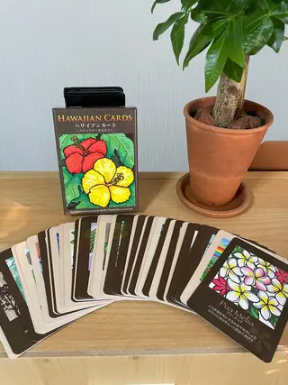 any🏝 エニーのマツエク・マツパデザイン