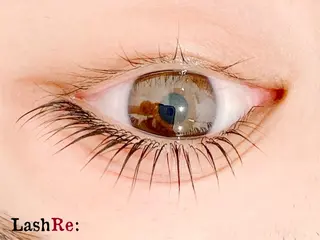 マツエク・マツパ Lash Re：のマツエク・マツパデザイン