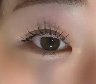 マツエク・マツパ マリーテレジア 🐨MIURAのマツエク・マツパデザイン