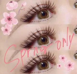 マツエク・マツパ ココラッシュ KANAKOのマツエク・マツパデザイン