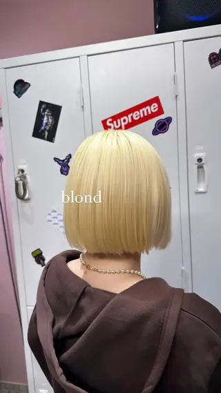 ミディアム カラー ハイトーン/ブリーチ カラー/SHOGOのヘアスタイル