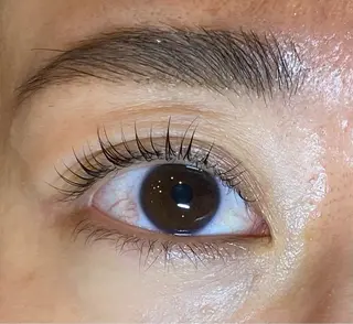 マツエク・マツパ Daisy lash 京橋店堀井のマツエク・マツパデザイン