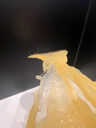 艶肌wax  shoco所属・艶肌wax®︎ shocoのエステ・リラクイメージ