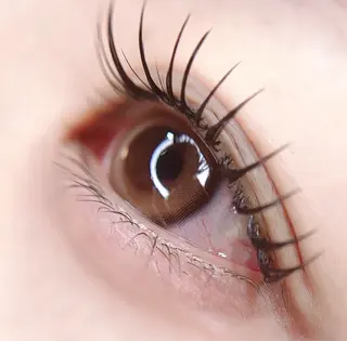 マツエク・マツパ 【cheek渋谷店】 wakanaのマツエク・マツパデザイン