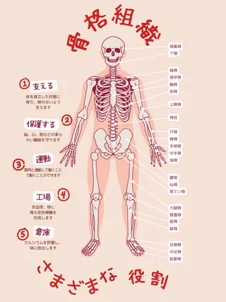 プライベートサロン Lokahi  鮫島のエステ・リラクイメージ