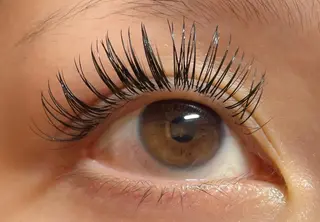 マツエク・マツパ princess 森 碧海のマツエク・マツパデザイン