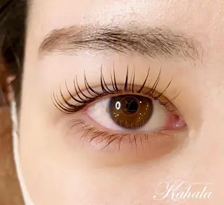 マツエク・マツパ NISAKA 🦸🏻‍♀️のマツエク・マツパデザイン