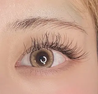 マツエク・マツパ プライベートサロン エクスティアラのマツエク・マツパデザイン