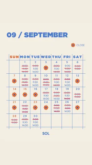 SOL ソルのその他イメージ