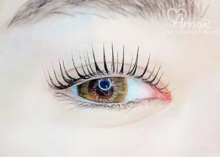 マツエク・マツパ Amor所属・AMOR EYELASHのマツエク・マツパデザイン