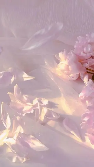 ネイル asuka 🐰のネイルデザイン