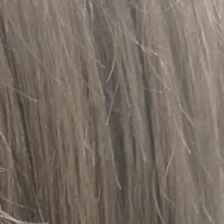 ロング カラー 🫧FEAT. ／Rikka 🫧のヘアスタイル