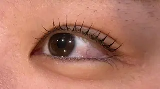 マツエク・マツパ Sylph 川嶋乙羽のマツエク・マツパデザイン