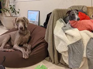 shimizu yuuのネイルデザイン