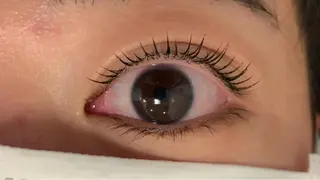 マツエク・マツパ passion茨木 【風張】のマツエク・マツパデザイン