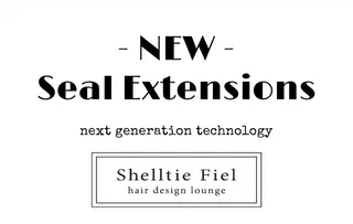 ロング Shelltie Fiel(シェルティフィエル)錦糸町所属・シールエクステ 🦋‪錦糸町YUKAのヘアスタイル